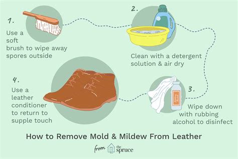 remove mildew smell from leather